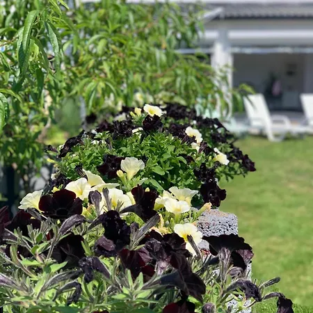 Wibor Ulica Tesknoty 5 Dziwnów