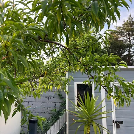 Wibor Ulica Tesknoty 5 게스트하우스 3*