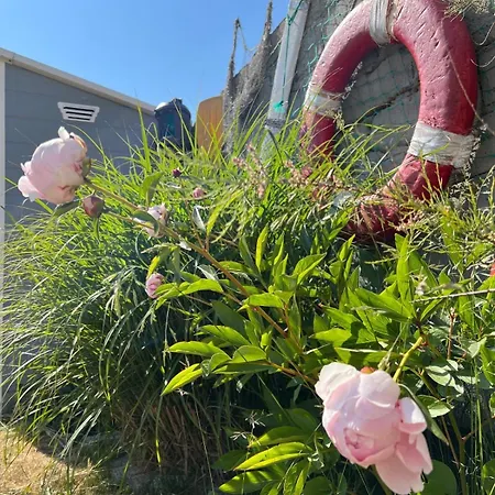 Wibor Ulica Tesknoty 5 게스트하우스 Dziwnów