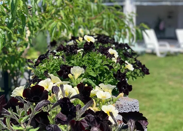 Wibor Ulica Tesknoty 5 Dziwnów