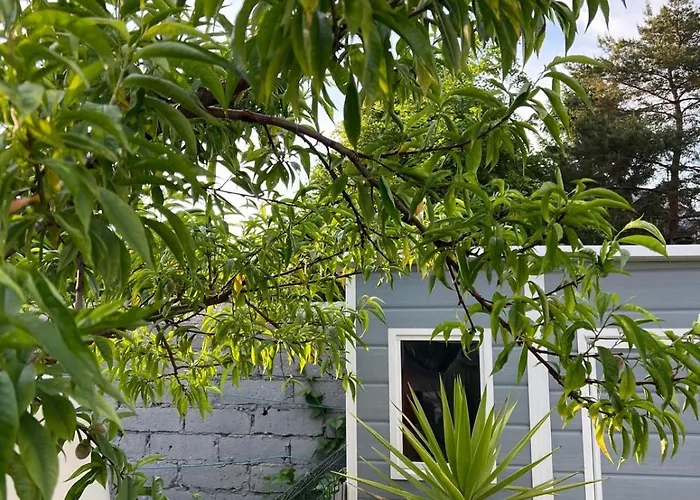 Wibor Ulica Tesknoty 5 Maison d'hôtes 3*