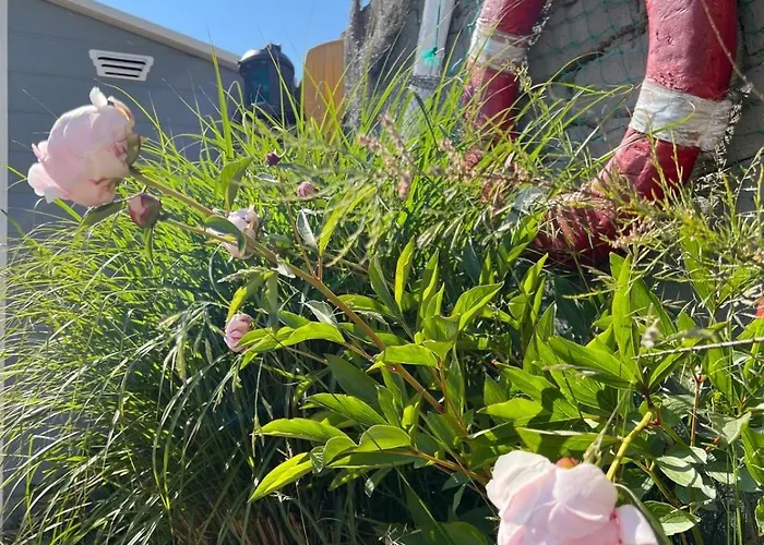 Wibor Ulica Tesknoty 5 Maison d'hôtes Dziwnów