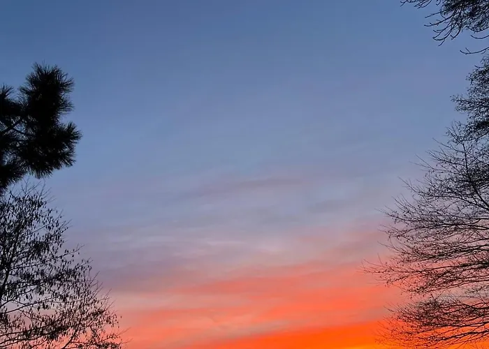 Wibor Ulica Tesknoty 5 3*