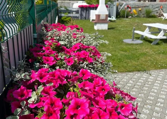 Wibor Ulica Tesknoty 5 Dziwnów