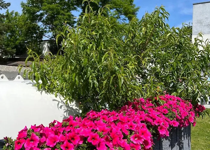 Wibor Ulica Tesknoty 5 Maison d'hôtes Dziwnów